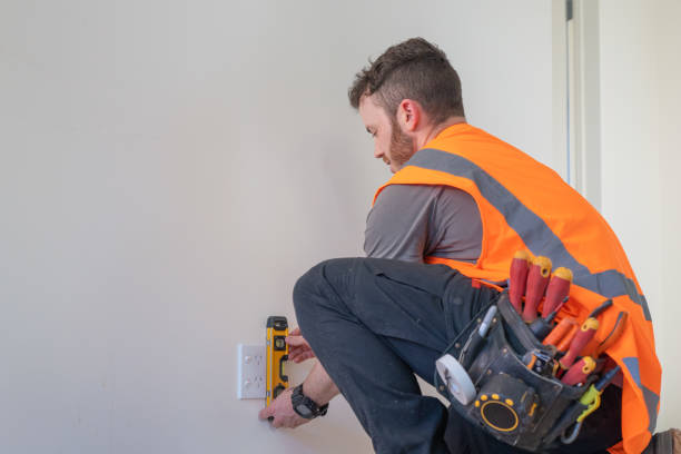 Best Electric Panel Repair  in Stockton, MO